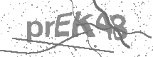 visual captcha